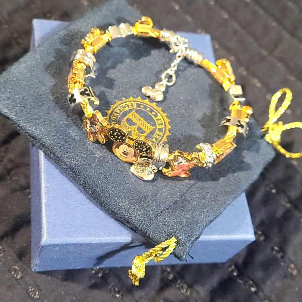 Bradford Disney cable bracelet